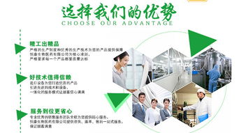 牡蛎杞草片剂OEM加工 聚焦山东市场，赋能企业网络技术服务